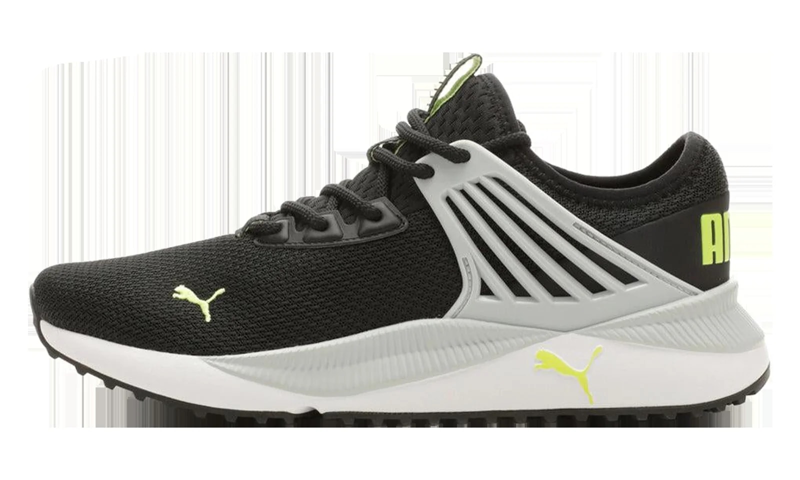Pacer Future " / " 380367 38 3