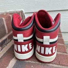 2009 Spike Lee Jordans 4