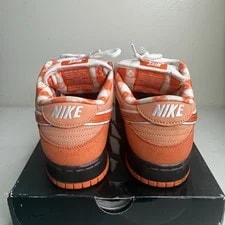 Size 10 - Nike SB Dunk Low Concepts Lobster Very Clean 3