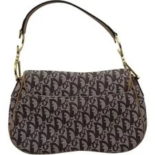 Christian Dior Trotter Saddle GHW Trotter #1445 2