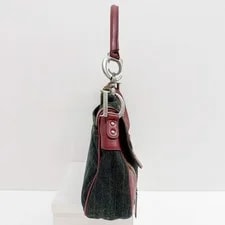 Dior Gaucho Saddle Trim and 4