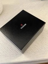 Tudor Pelagos 25600TN- Gently 4