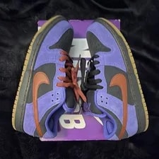 Nike SB — Nike SB Dunk Low Low Top Lace-Up / / W/ Box 10 — Sneaker — resale