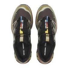 Salomon XT-6 Gore-tex L49202100 Delicioso/tea/ Shoes tko05 3