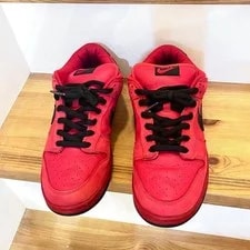 10.0US Nike Sb Dunk Low Devil Blood 2
