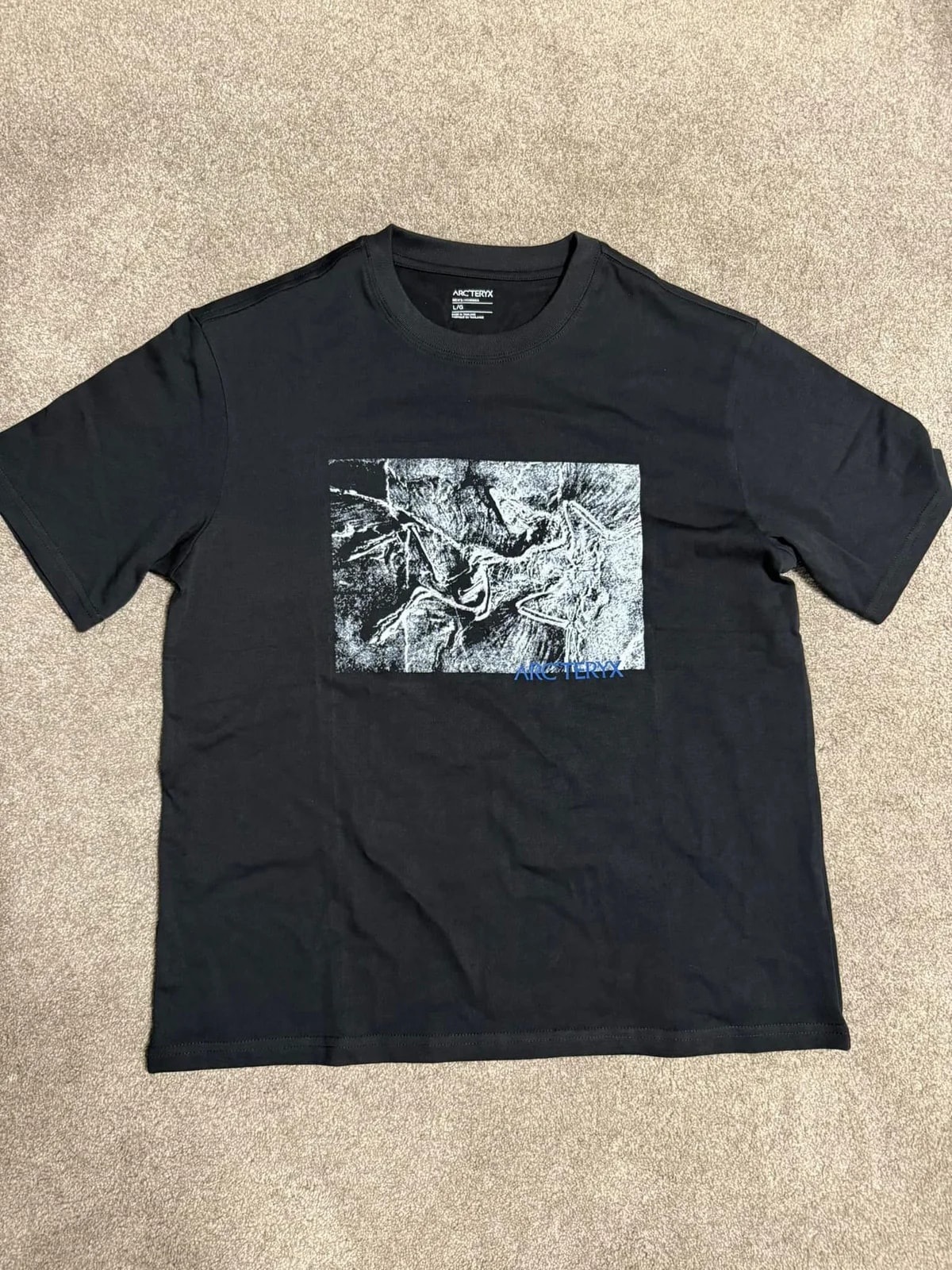 Arc'teryx — Arc'teryx Kragg Cotton Lithographica T-shirt — streetwear — resale