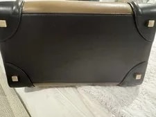 Celine Luggage Satchel/Top Handle Large Limited Color Combo 4