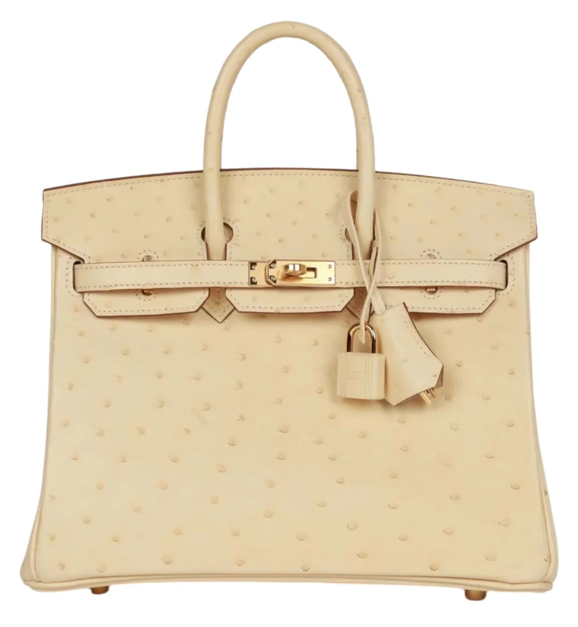 Hermès Birkin 25 Autruche Vanille 2
