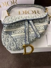 Dior Saddle Light Bluish/Neutral Good Condition 2