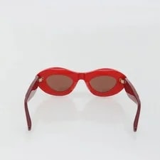 Bottega Veneta Ovale Acetate Sunglasse 3