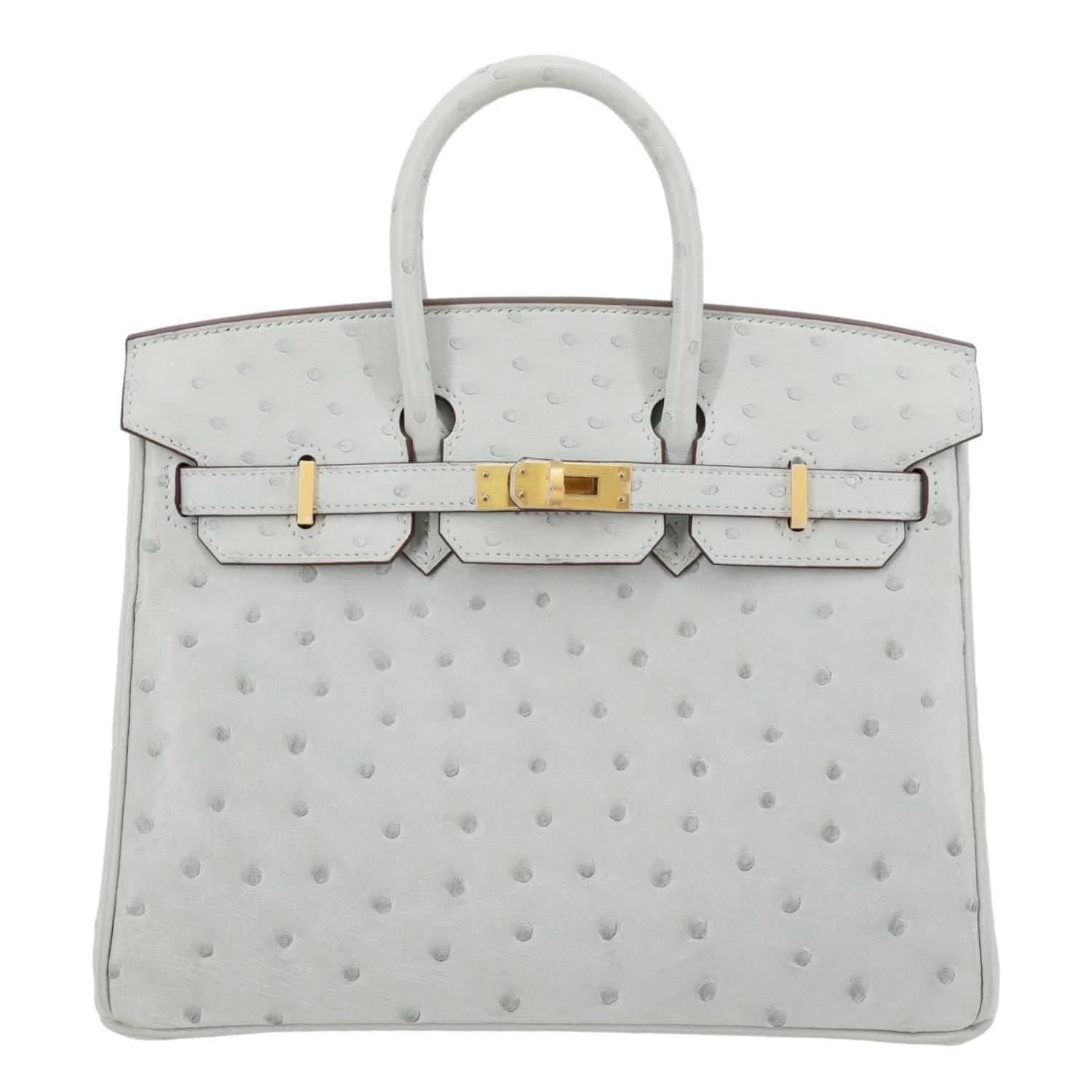 Hermes Birkin 25 Satchel Perle 4