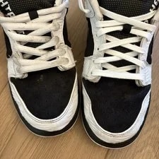 Nike SB Dunk Low Pro Tightbooth Size 10.5 FD2629-100 3