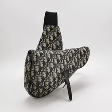 Dior Saddle Iconic Embroidered Print Monogram - Excellent #ZN90GY 3