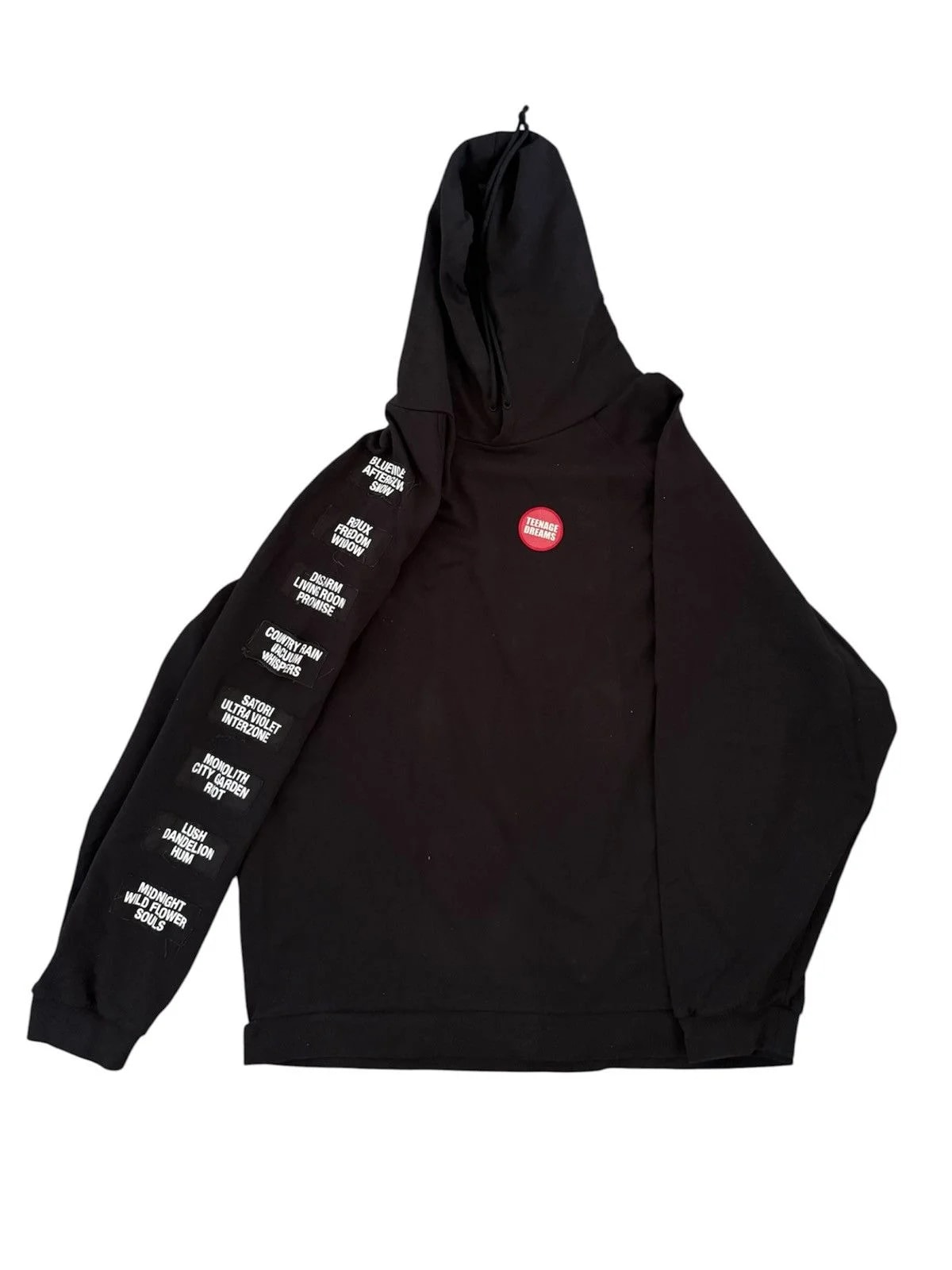 Raf Simons — Raf Simons “Teenage Dreams” -Patch Hoodie — streetwear — resale