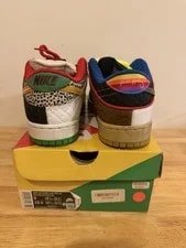 Nike SB Dunk Low Paul Size 9 CZ2239-600 With Box 4