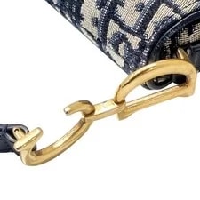 Christian Dior Saddle Mini + Strap 4