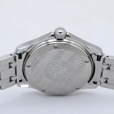 Omega Seamaster 2501.31 Silver Dial Automatic 4