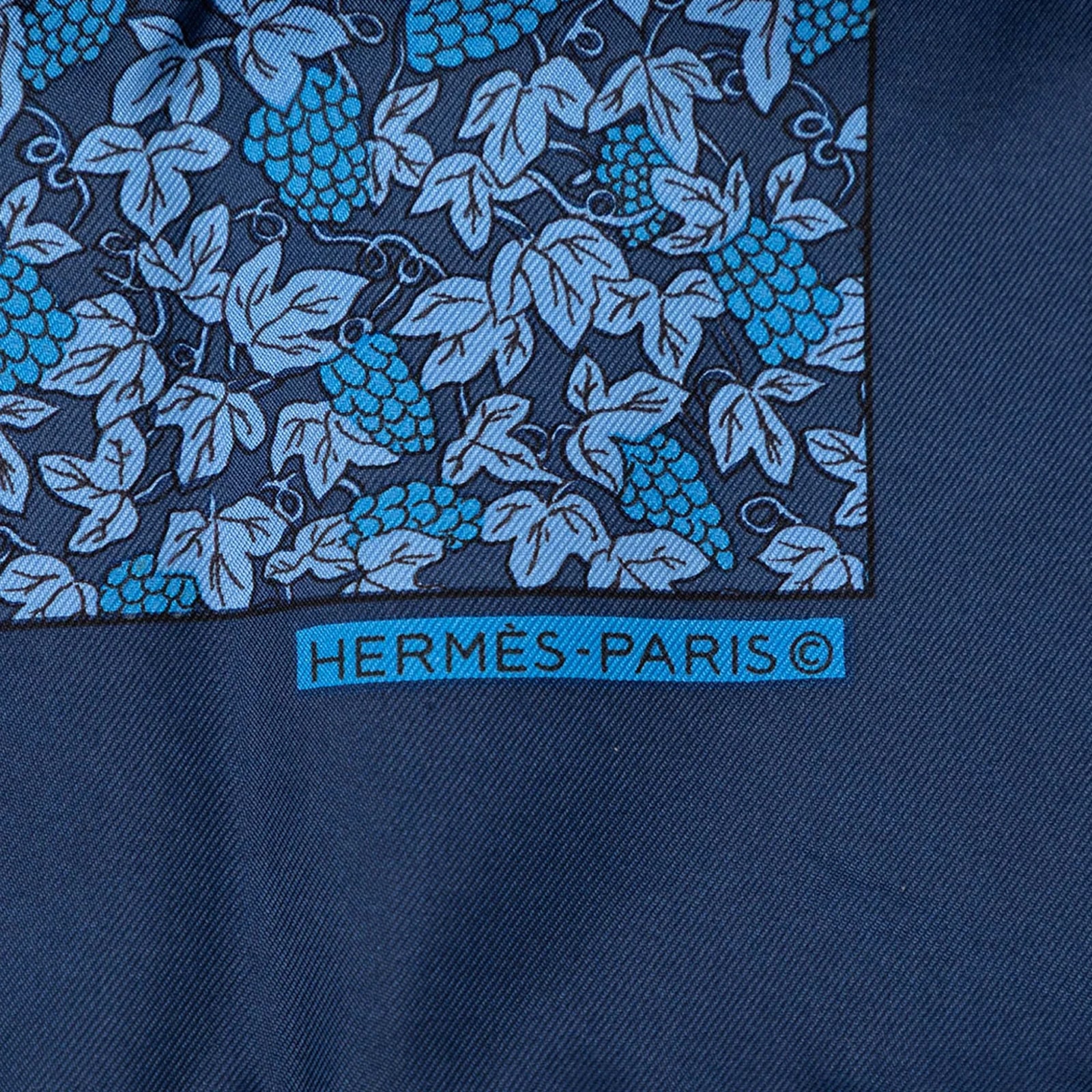 Grape Vines Pocket Square Scarf 3