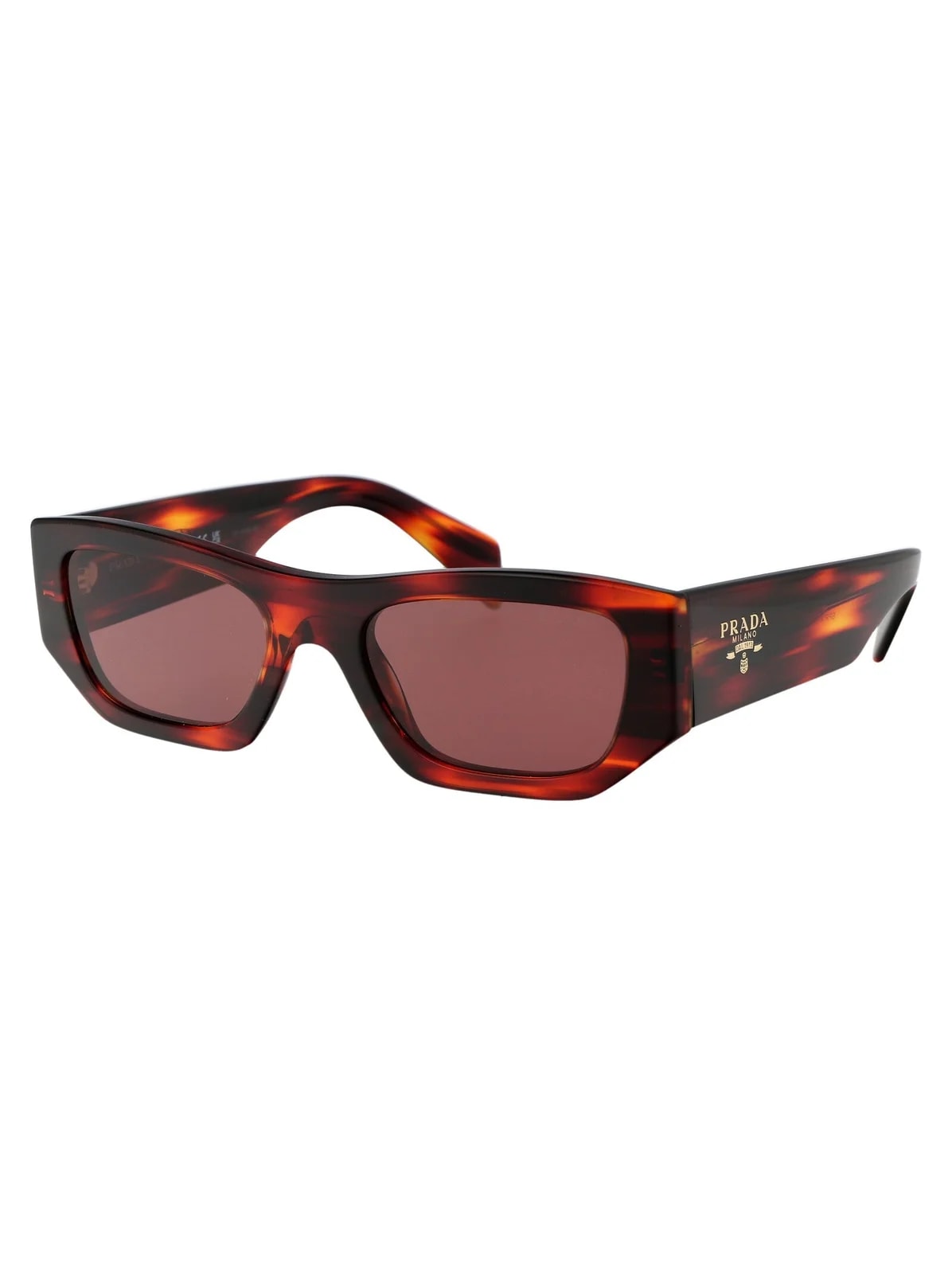 Prada 0pr Havana Acetate Sunglasses — 2