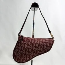 Christian Dior Saddle Trotter -Functional 2