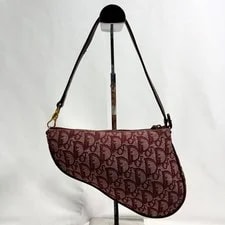 Christian Dior Saddle Trotter -Functional 3