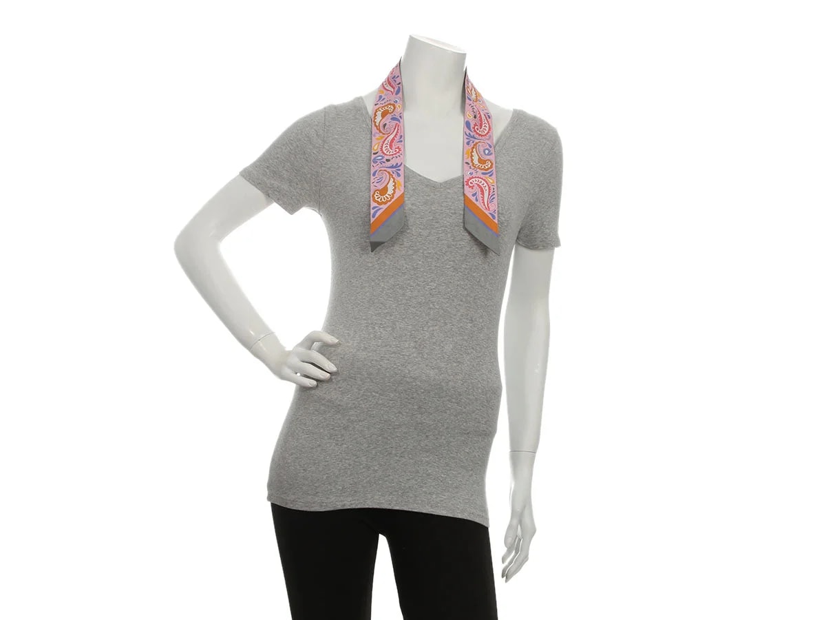 Hermès Guepards Bandana Twilly 4
