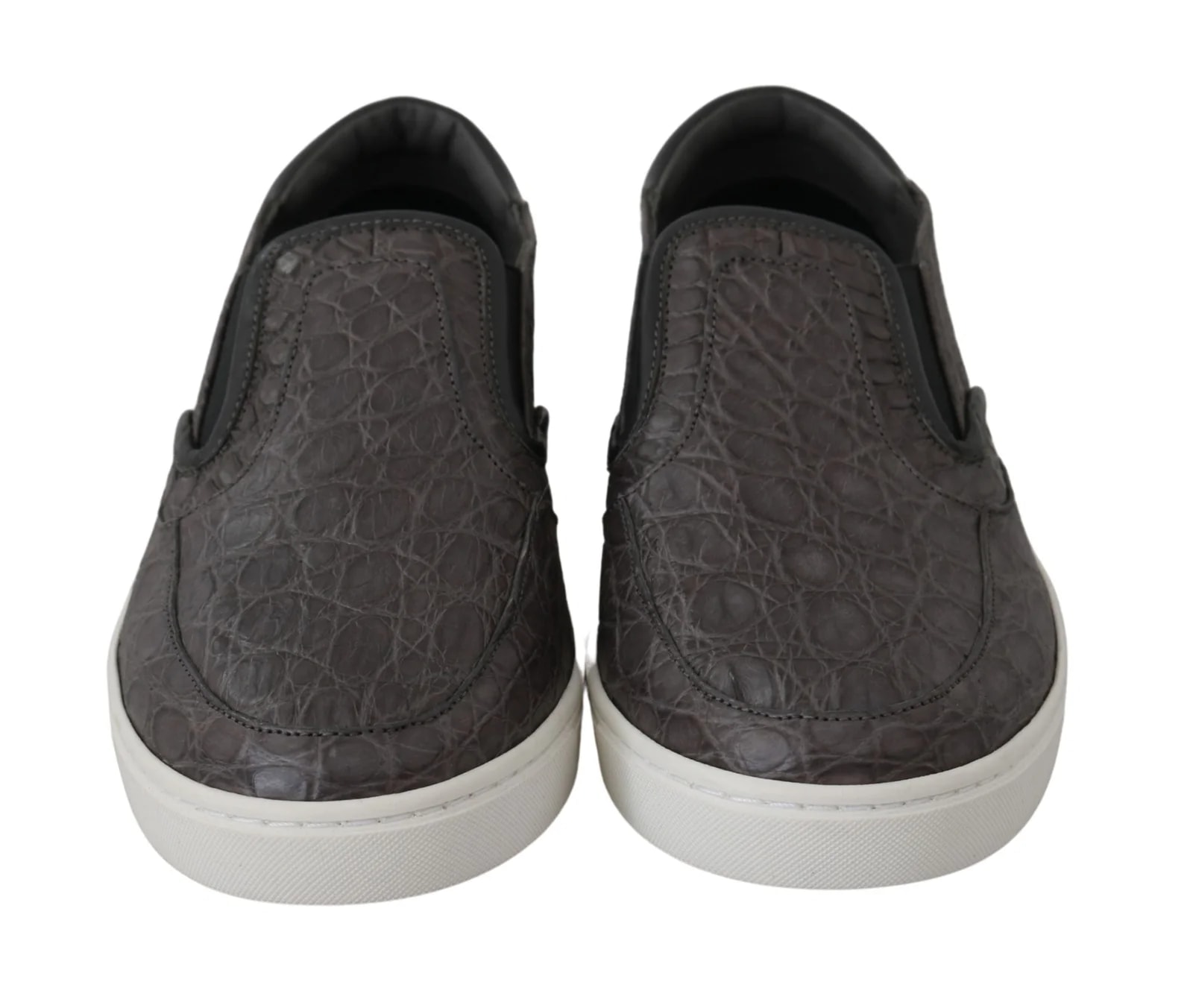 Dolce & Gabbana Caiman 2