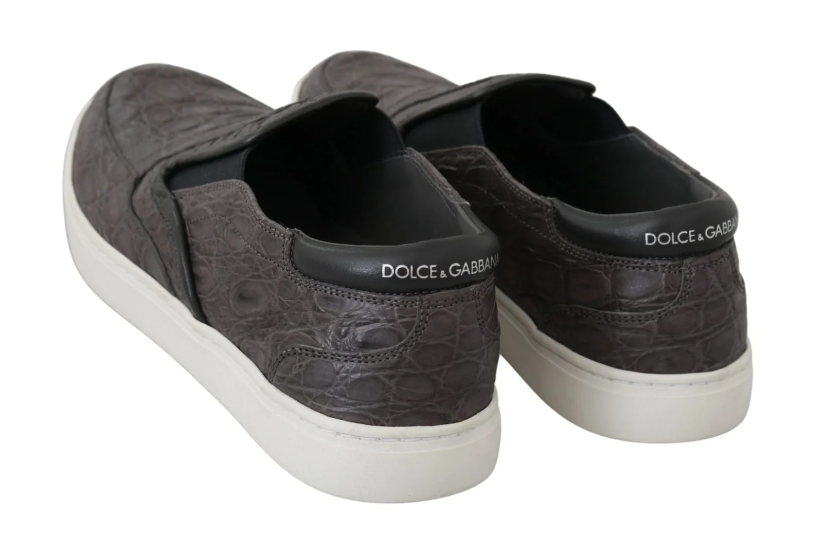 Dolce & Gabbana Caiman 4