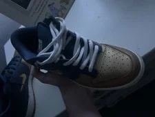 Supreme Dunks Low 2