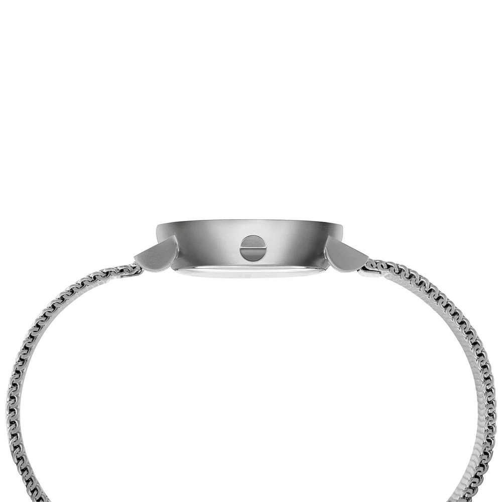 Pierre Cardin Silver 2