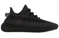 Yeezy Boost 350 V2 Mono 2