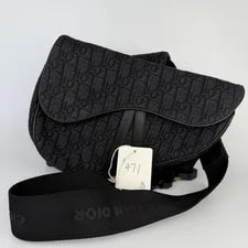 Dior Saddle Waist in With Trim 2