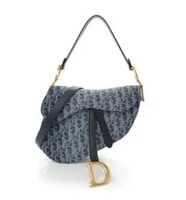Dior Saddle Pattern Hardware Detachable Strap 3