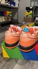 Nike SB Dunk Low Lobster Size 10.5 Brand 3