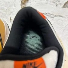 Nike SB Dunk Low 'Raygun' Size 9.5 304292-802 4