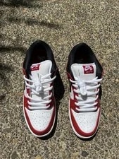 Nike SB Dunk Low Pro J-Pack (BQ6817 600) 4