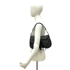 Christian Dior Saddle Trotter Semi One 3