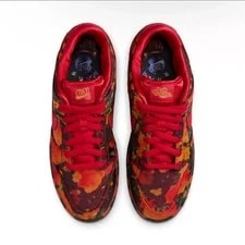 The Wizard of Oz × Nike SB Dunk Low Pro Field FZ1291-600 3