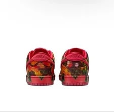 The Wizard of Oz × Nike SB Dunk Low Pro Field FZ1291-600 4