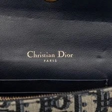 Dior Trotter Saddle Body Belt 3