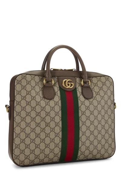 Original Ophidia Convertible Briefcase 2
