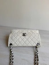 Chanel Classic Flap Seasonal Chain Crossbody 4