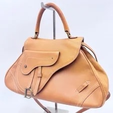Christian Dior Saddle Tone 4