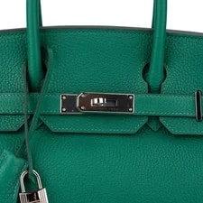 Hermès Igo Verso Birkin 30 (2018) 2