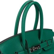 Hermès Igo Verso Birkin 30 (2018) 3