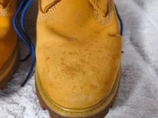 8.0US Timberland Shoes Woolrich Limited Edition Vhtf Collection Pop 4