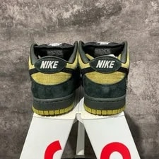 Nike SB Dunk Low Pro Skate Shoes Camper Authentic New 2