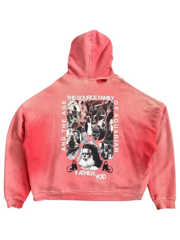 PALY — Paly Hollywood Source Family Hoodie — streetwear — resale