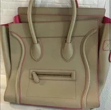 Celine Palmelato and Luggage 2