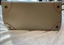 Celine Palmelato and Luggage 4